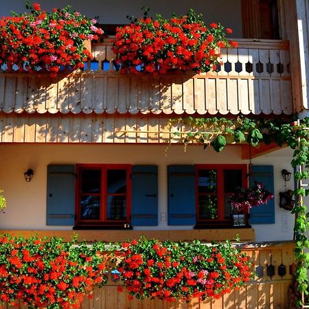 Gaestehaus Wild-Schuetz Bed and Breakfast Schwangau Eksteriør billede