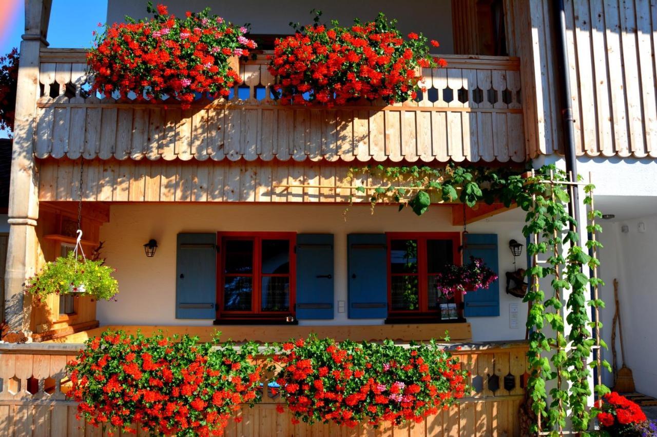 Gaestehaus Wild-Schuetz Schwangau Eksteriør billede
